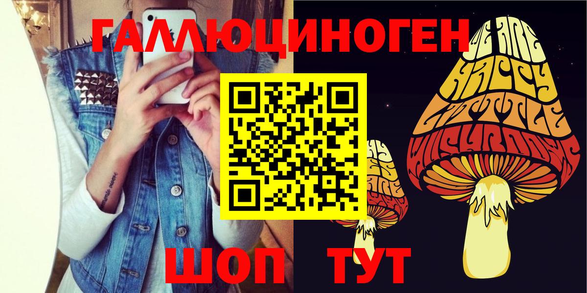Псилоцибиновые грибы Psilocybine cubensis  Вход с VPN  Малоярославец 