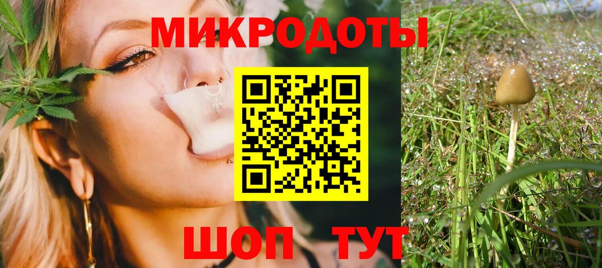 Псилоцибиновые грибы Psilocybe Малоярославец