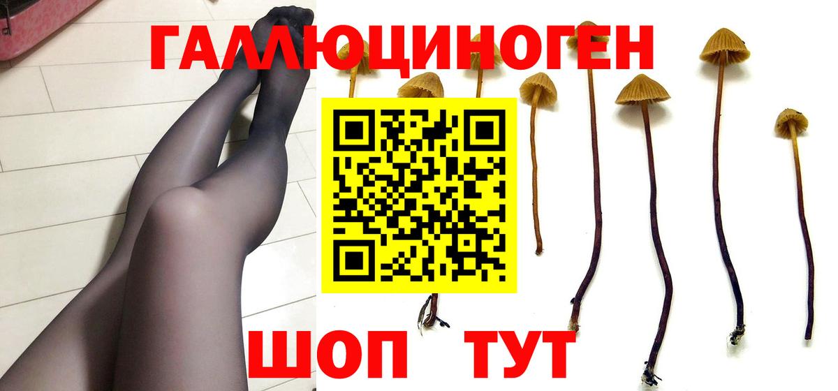 Меф мяу мяу Малоярославец